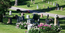 Meadowridge Cemetery